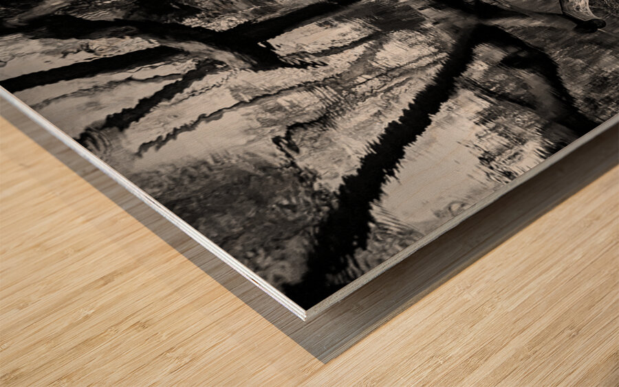 Black and White Reflection Wood print