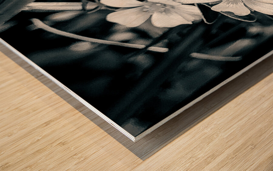 Black and White Flowers Wood print