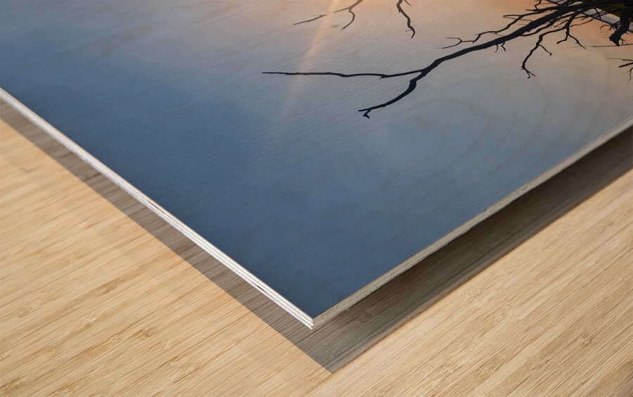 Sunset Lake Wood print