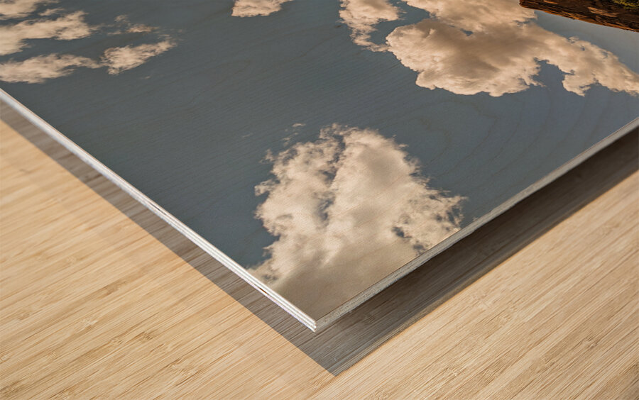 Red Rocks Colorado Wood print