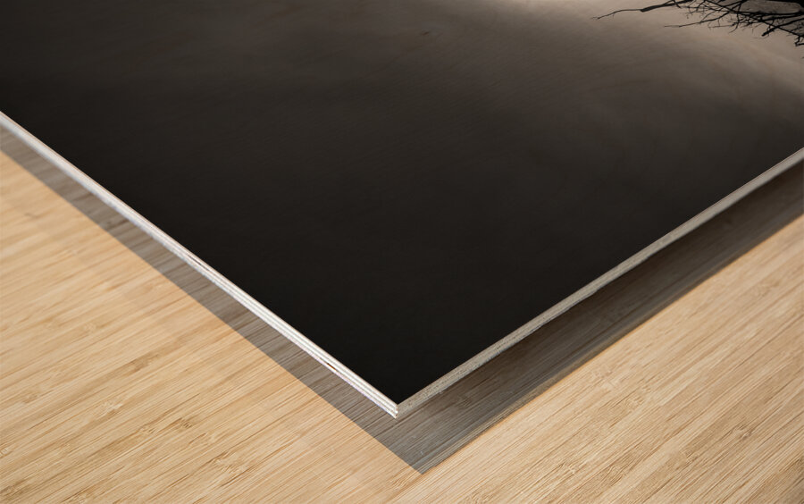 Black and white Texas lake Wood print