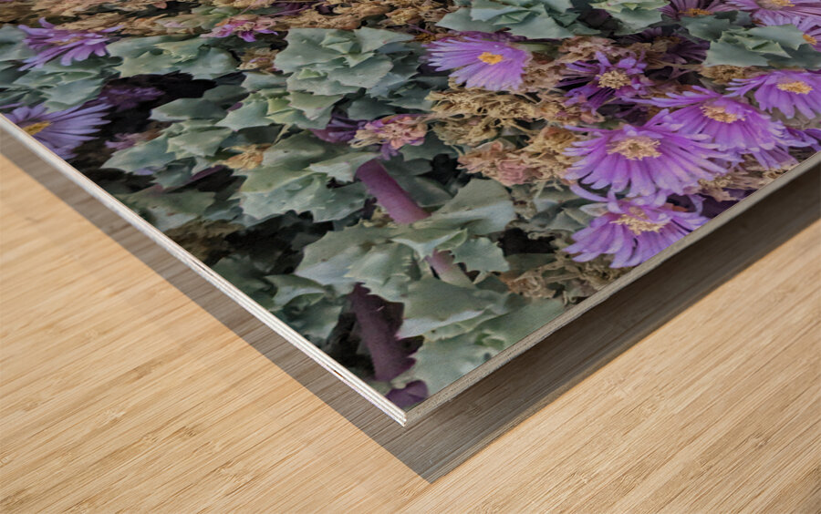 Pastel Plants Wood print