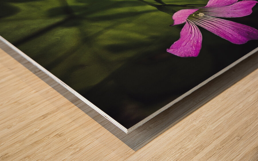 Flowers  and bee Wood print