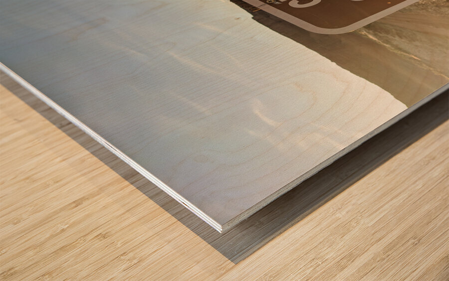 Cross country Wood print