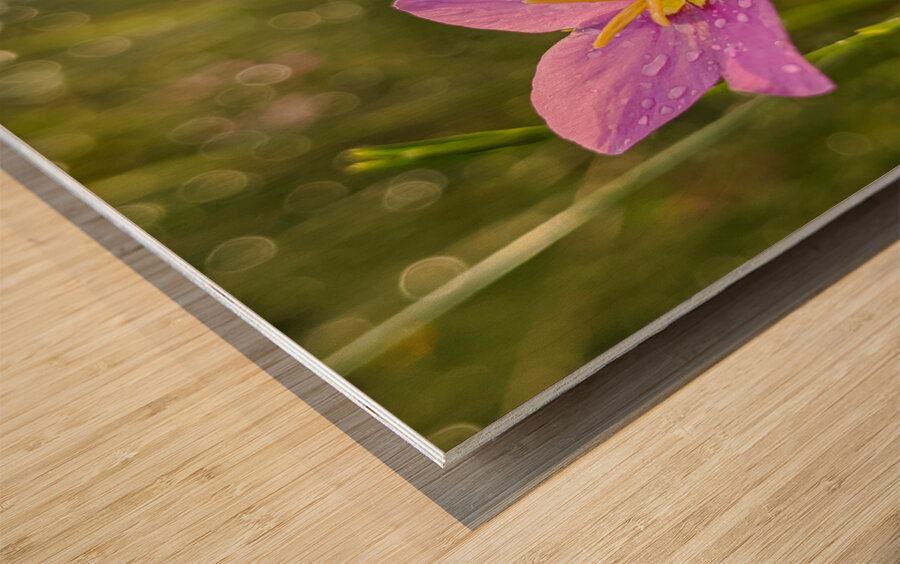 Pink Flowers Wood print