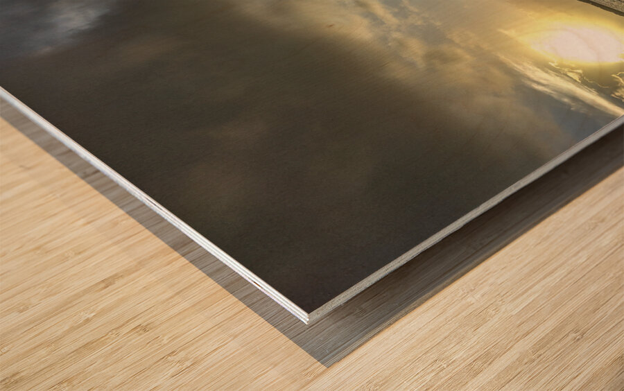 Intercostal Sunrise Wood print