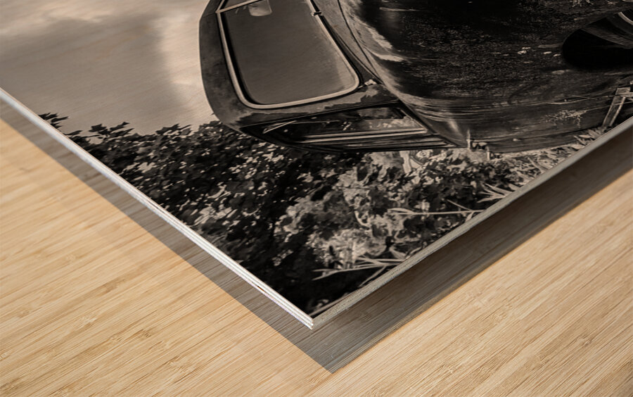 Wheres Waldo  Wood print