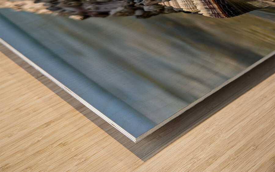 Reclaimed Wood print