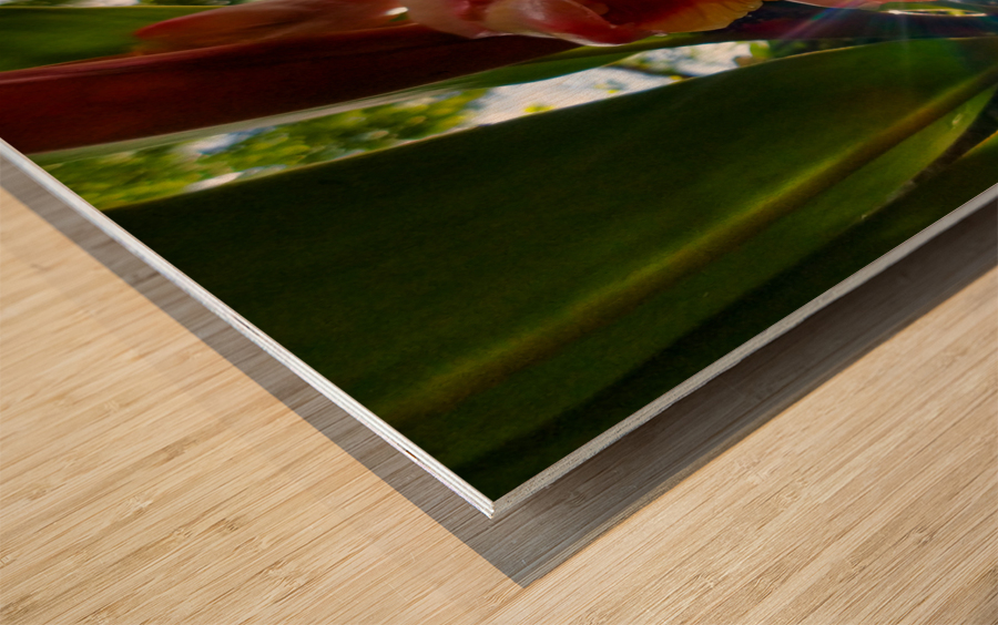 MORNING FLOWER Wood print