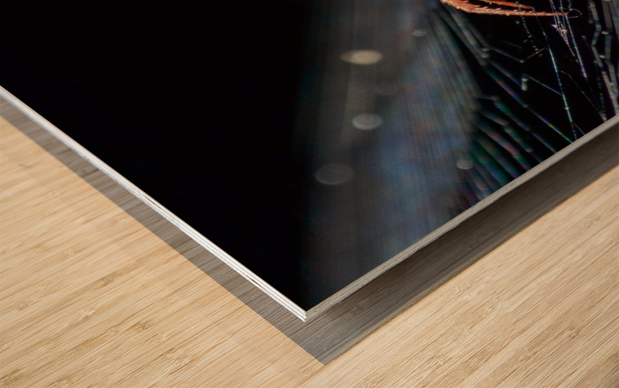 Meal Time Wood print