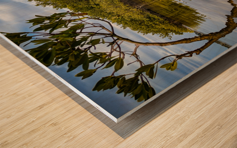 Island Time Wood print