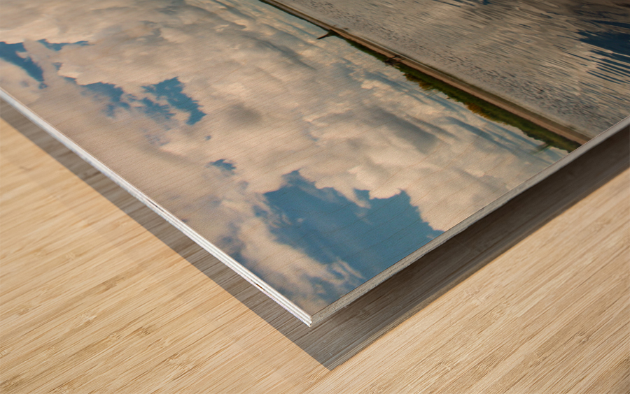 Floral River1 Wood print