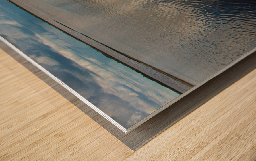 floral river Wood print