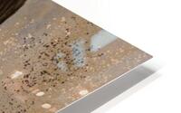 Love Never Fails HD Metal print