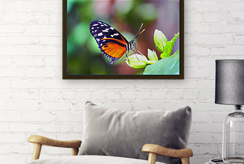Monarch on a Bud Reproduction