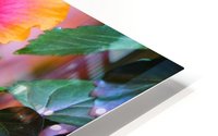 Electras Tree Nymph HD Metal print