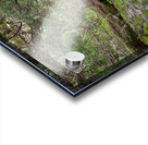 Stream  Acrylic print