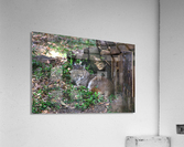 Bobcat Acrylic Print