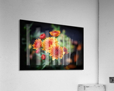 Mums Acrylic Print
