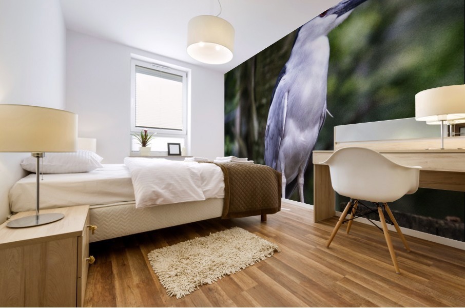 Night Shade Heron Mural print