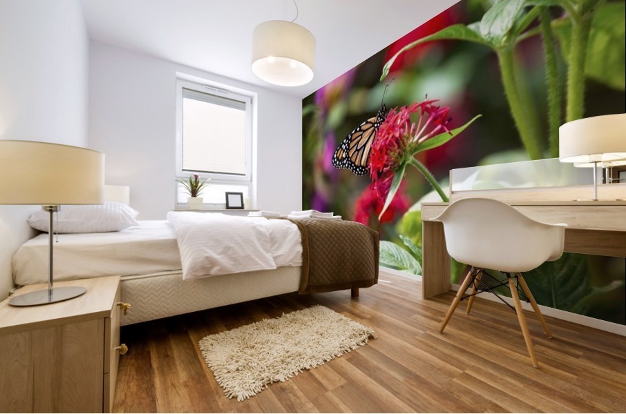 Butterfly Mural print