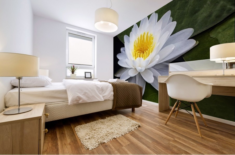 LIly Mural print