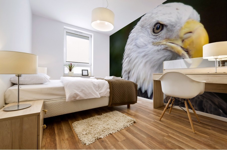 Bald Eagle Mural print