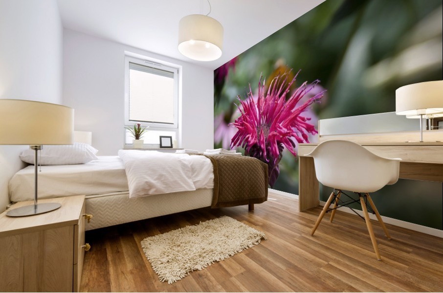 Bee balm Mural print
