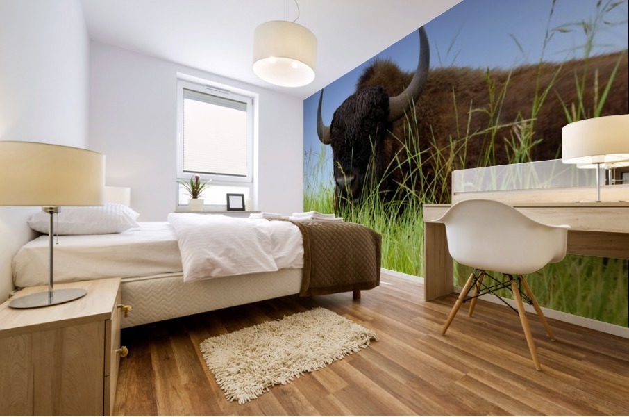 Female Bison Mural print
