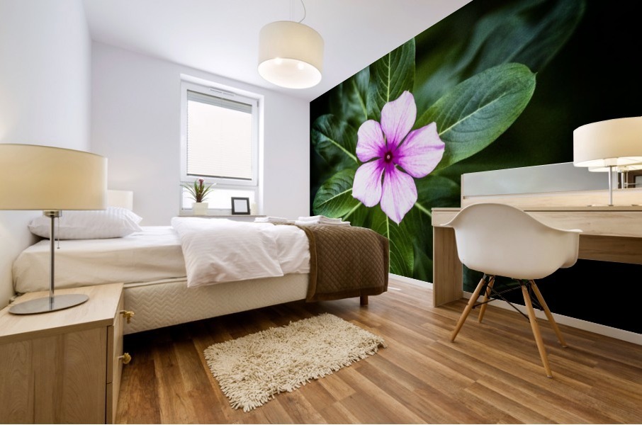 Purple Passion Mural print