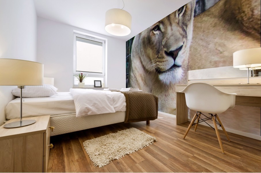 Lioness Mural print