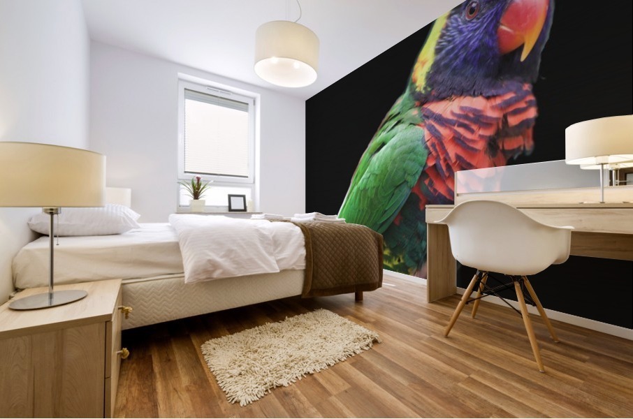 Lorikeet Mural print