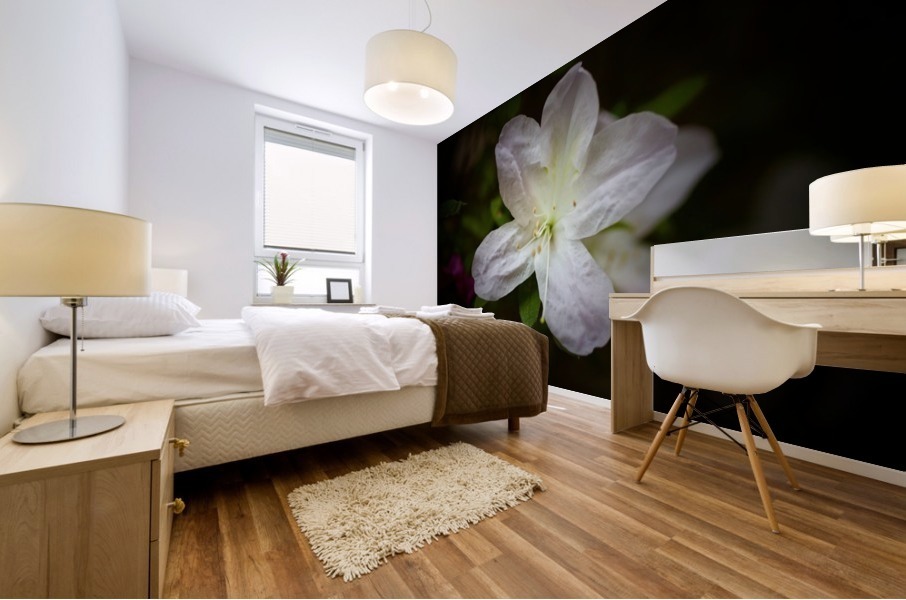 White Azalea  Mural print