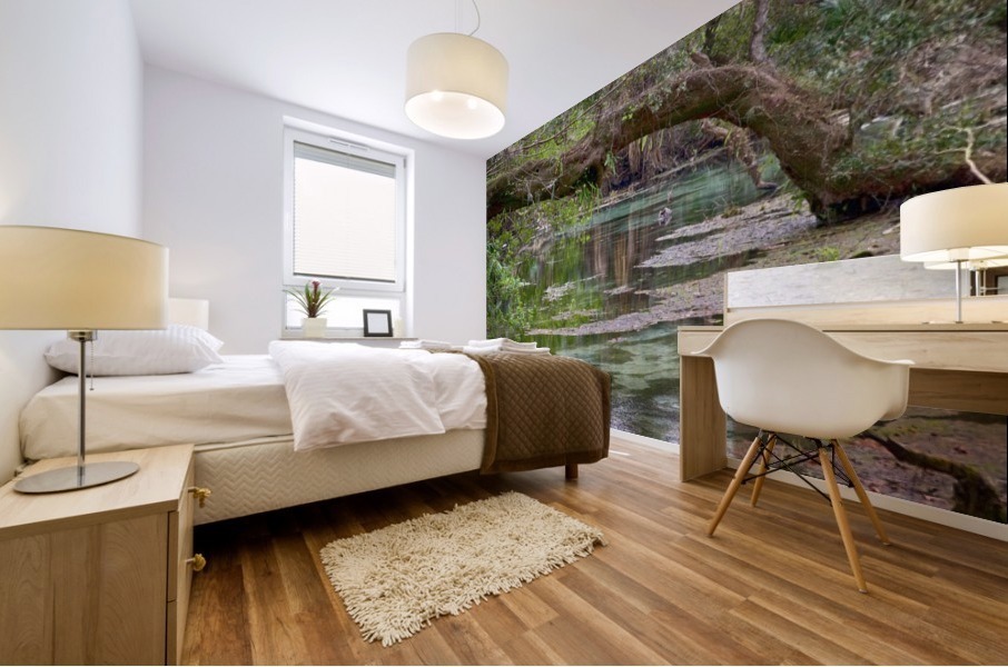 Stream  Mural print