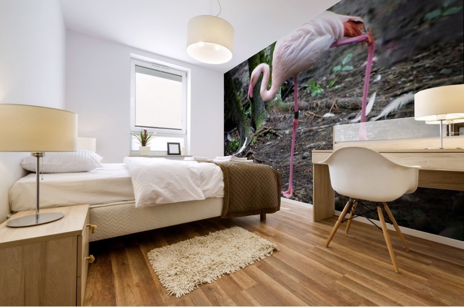 Flamingo Mural print