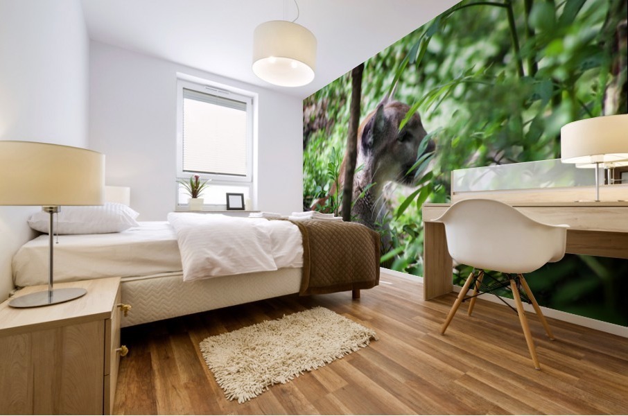 Florida panther Mural print