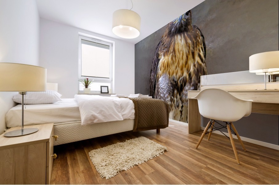 Red Shoulder Hawk Mural print