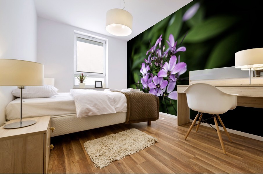 Beeplant Mural print