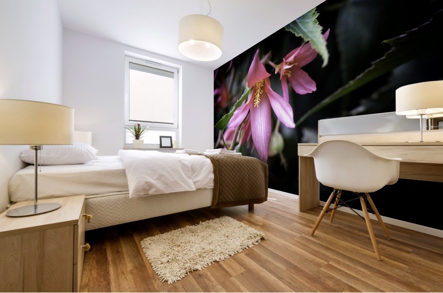 Begonia  Mural print
