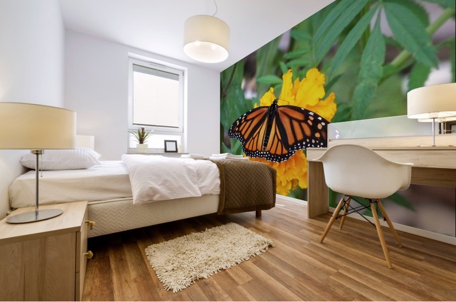 Monarch on Marigold Mural print
