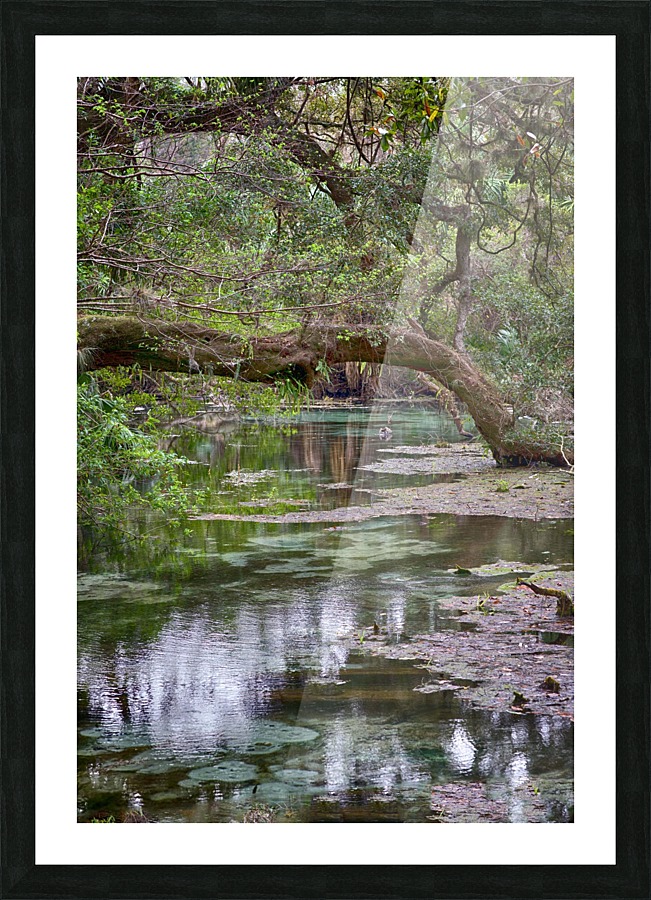Stream  Picture Frame print