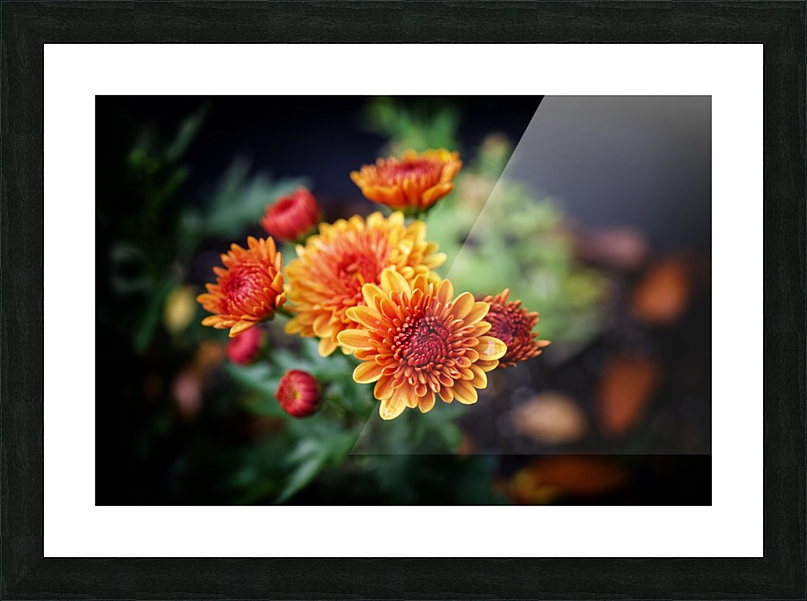 Mums Picture Frame print