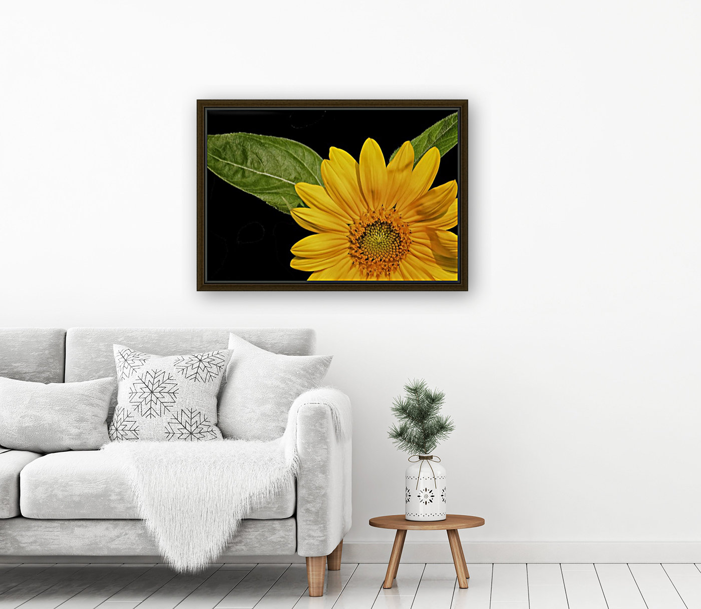 Sunflower  Reproduction