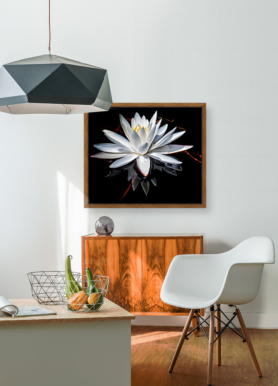Forked Lake Lily Reproduction