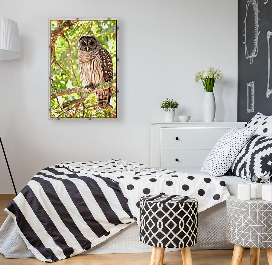 Barred Owl Reproduction