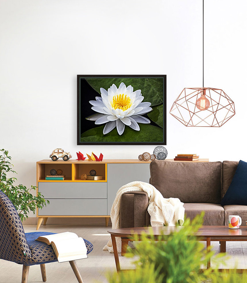 LIly Reproduction