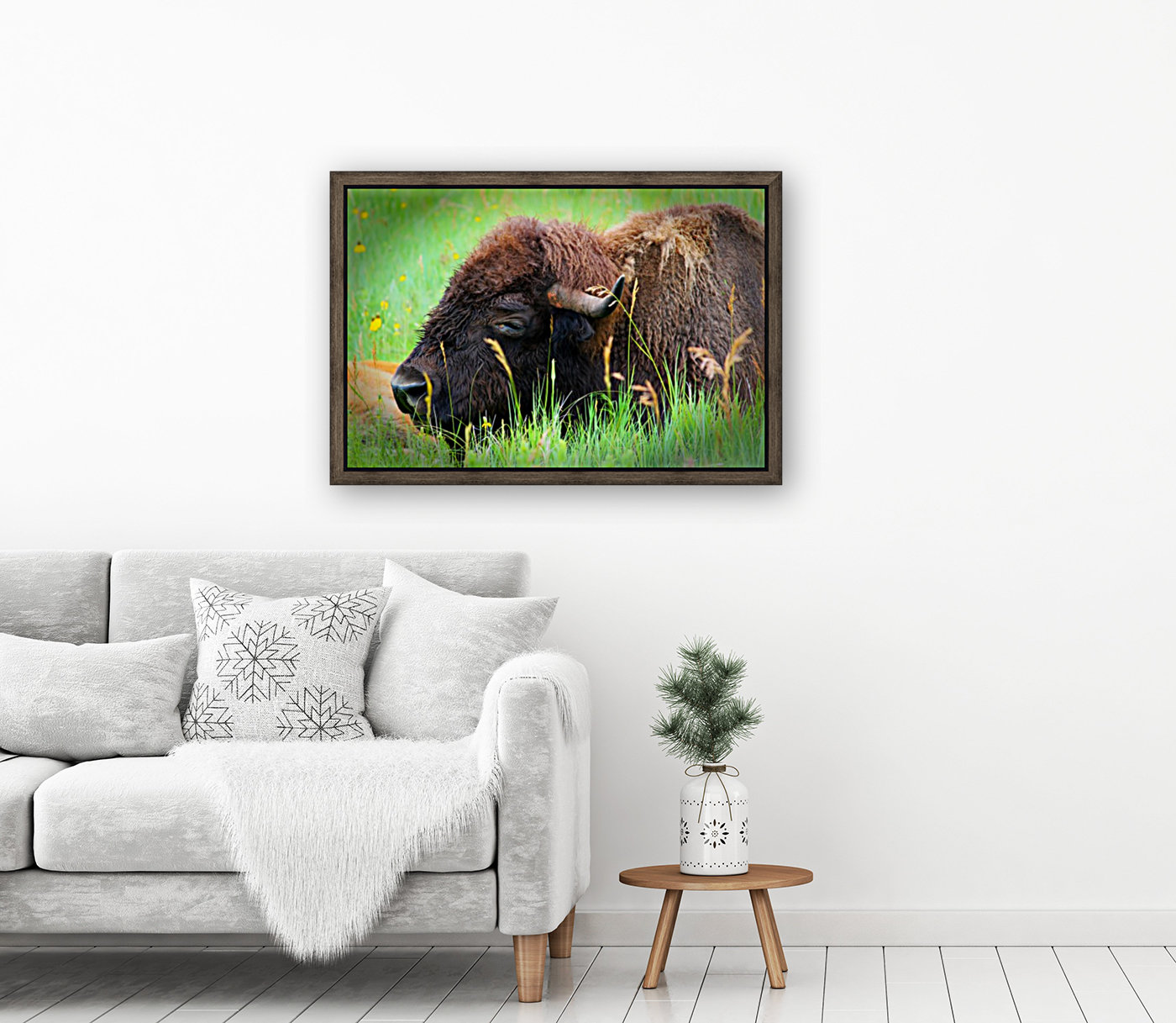 Bison Resting Reproduction