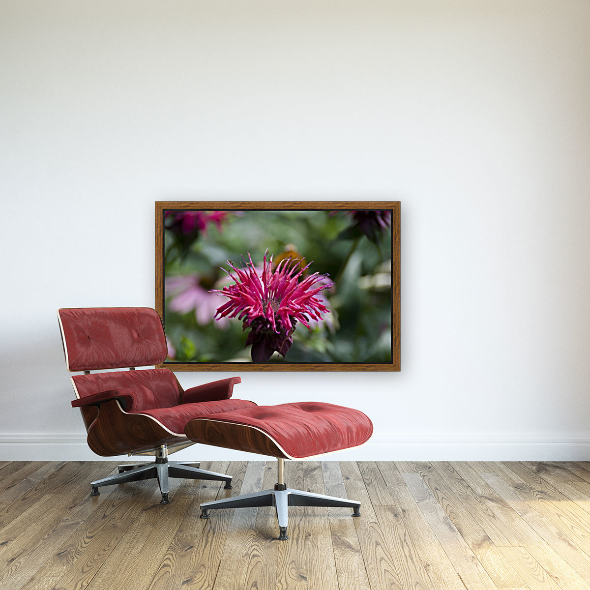 Bee balm Reproduction
