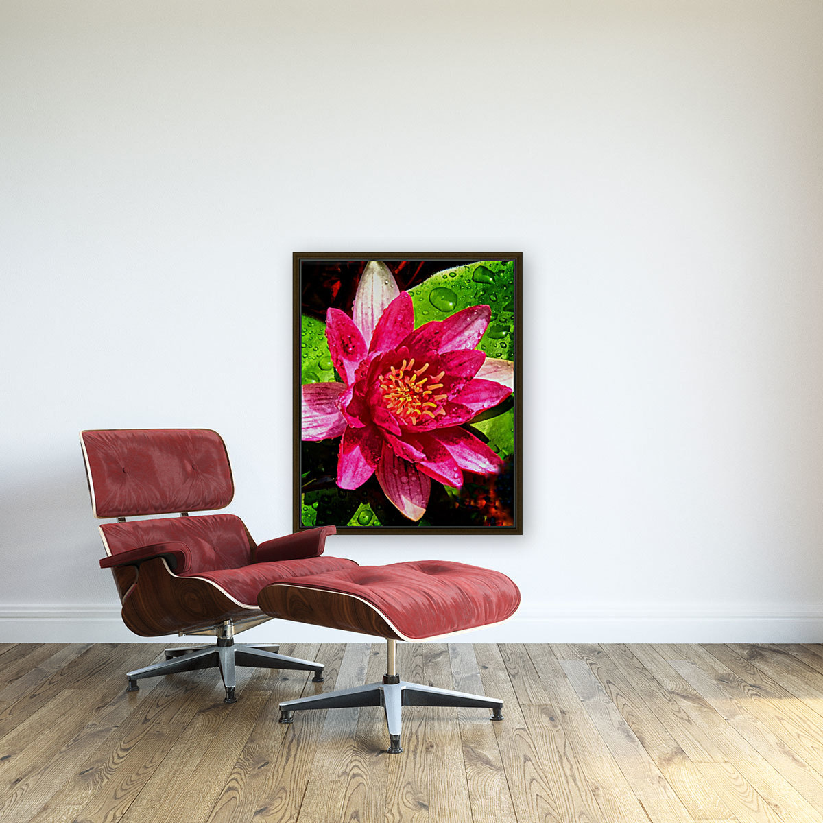 Pond Lily Reproduction