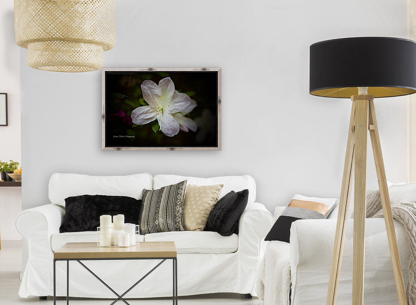 White Azalea  Reproduction